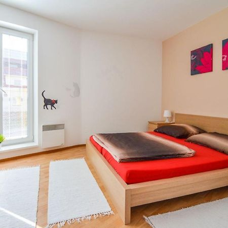 Apartman U Kostela Destne v Orlickych horach Exterior photo